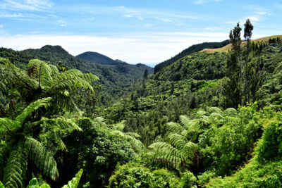 Open Letter to PM: “You must take bold steps on biodiversity and climate”