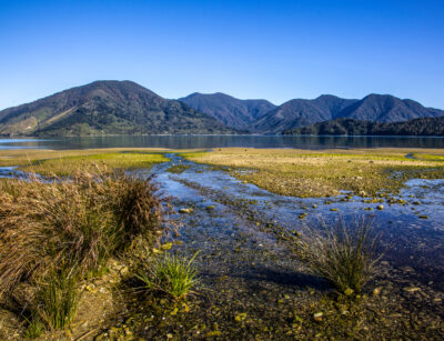 Restoring the Marlborough Sounds: An oceans reform case study