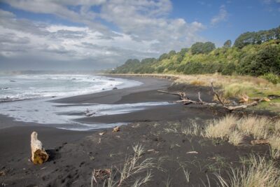 Protecting the Sea: Rethinking marine protected areas