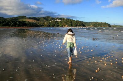 Pathway to Oceans Reform: EDS Oceans Reform Final Report